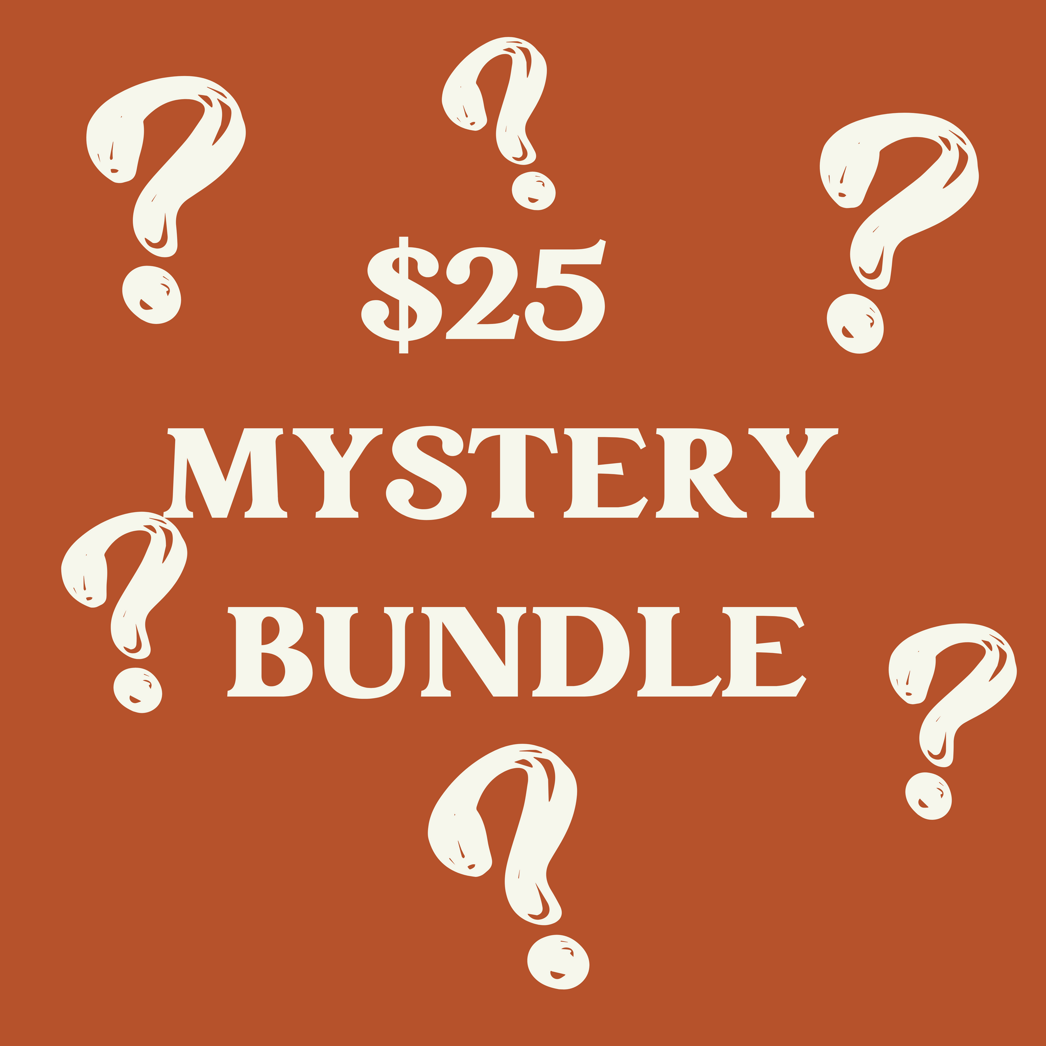 $25 Mystery Bundle